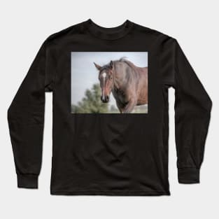 Curiosity Long Sleeve T-Shirt